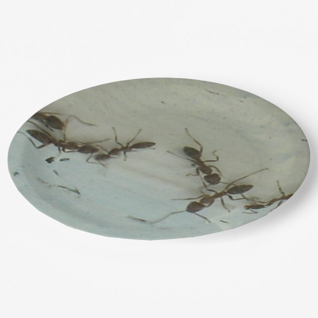 Assiettes En Carton Plaque papier - Fourmis à pique-nique (Angle)