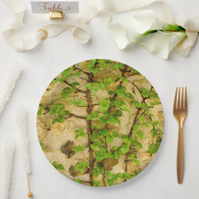 Assiettes En Carton Plaque papier Hydrangea petiolaris (Mariage)
