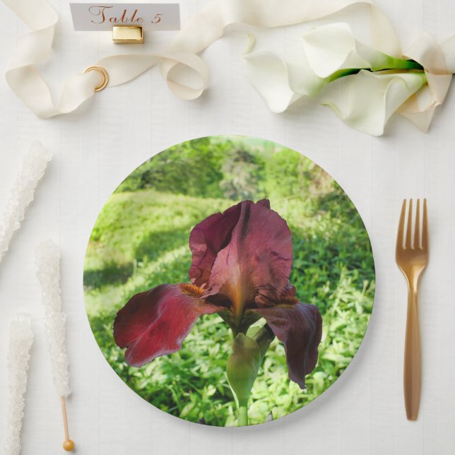Assiettes En Carton Plaque Papier Iris À Pois (Mariage)