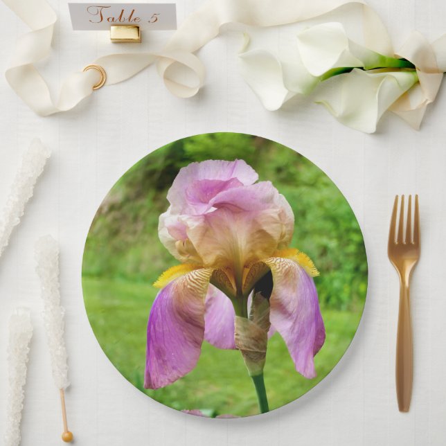 Assiettes En Carton Plaque Papier Iris À Pois (Mariage)