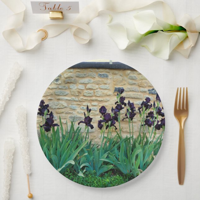 Assiettes En Carton Plaque Papier Iris À Pois (Mariage)