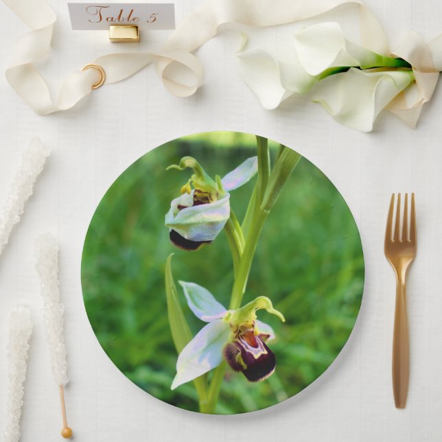 Assiettes En Carton Plaque papier orchidée (Mariage)