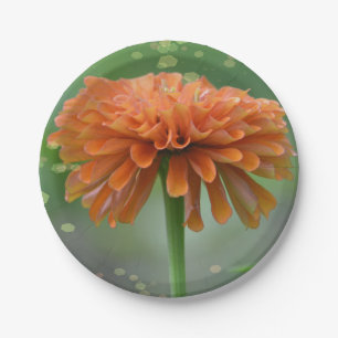 Assiettes En Carton Plaque papier Zinnia Zazzled