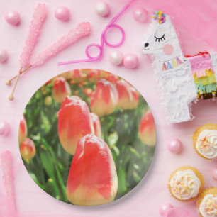Assiettes En Carton Plaque Tulip Heaven