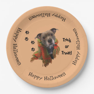 Assiettes En Carton Plaques à papier de Halloween Pitbull de super