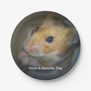 Assiettes En Carton Plaques à papier de hamster