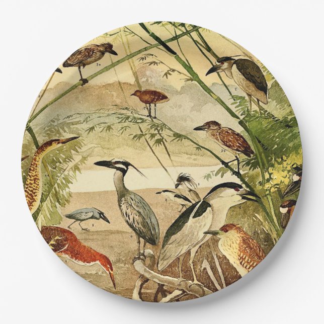 Assiettes En Carton Plaques à papier de héron d'oiseaux de faune (Devant)