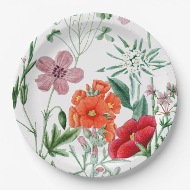 Assiettes En Carton Plaques à papier de réception en plein air alpine (Devant)