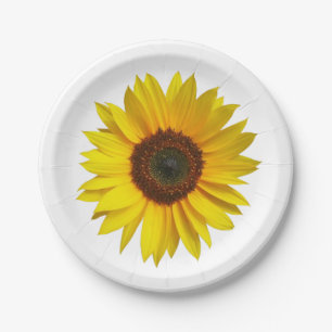 Assiettes En Carton Plaques à papier de tournesol