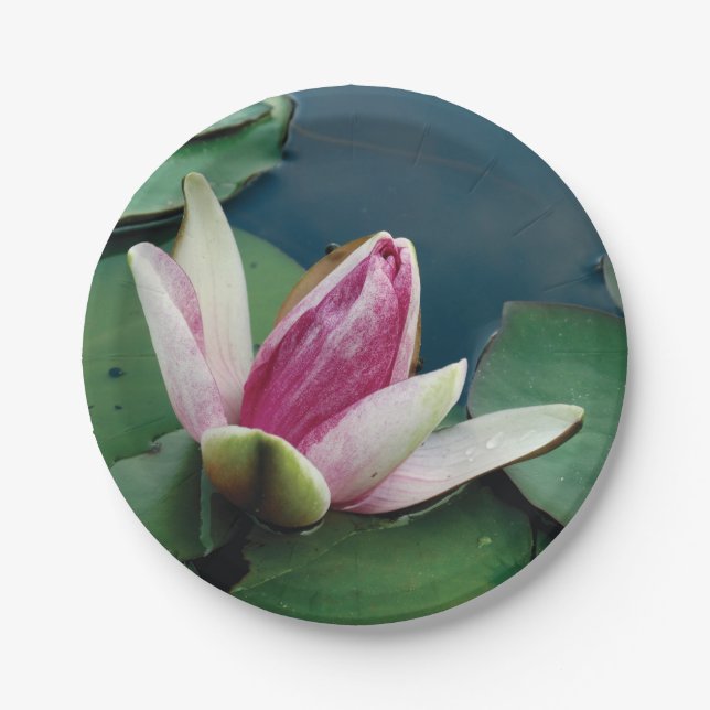 Assiettes En Carton Plaques à papier faites sur commande 7 de fleur de (Devant)