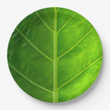Plaques à papier jetables de feuille tropicale