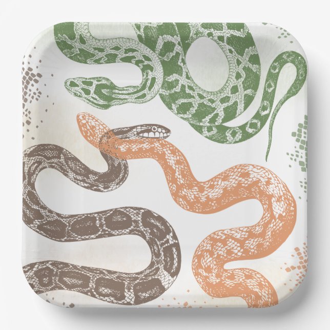 Assiettes En Carton Plaques de fête d'anniversaire de serpent (Recto)