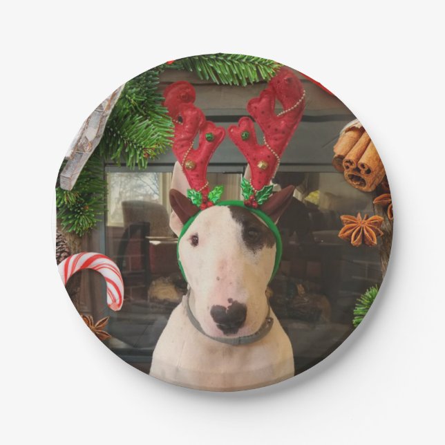 Assiettes En Carton Plaques de Noël Rex (Devant)