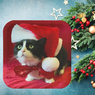 Assiettes En Carton Plaques de Noël Tuxedo Cat