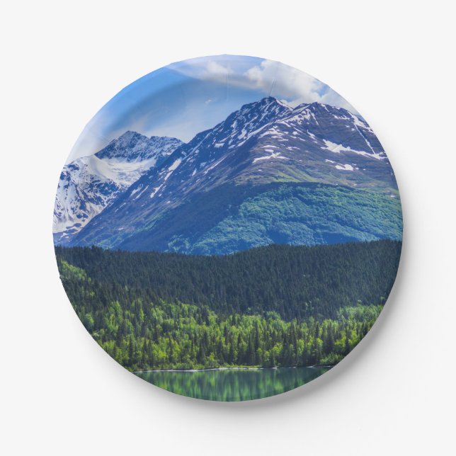 Assiettes En Carton Plaques de papier (Devant)