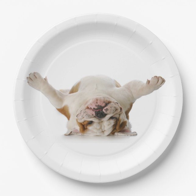 Assiettes En Carton Plaques de papier Bulldog (Devant)