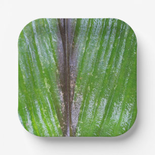 Assiettes En Carton Plaques de papier Carré Turmeric Green Leaf 7"