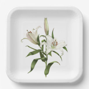 Assiettes En Carton Plaques de papier d'art botanique Lily orientale b