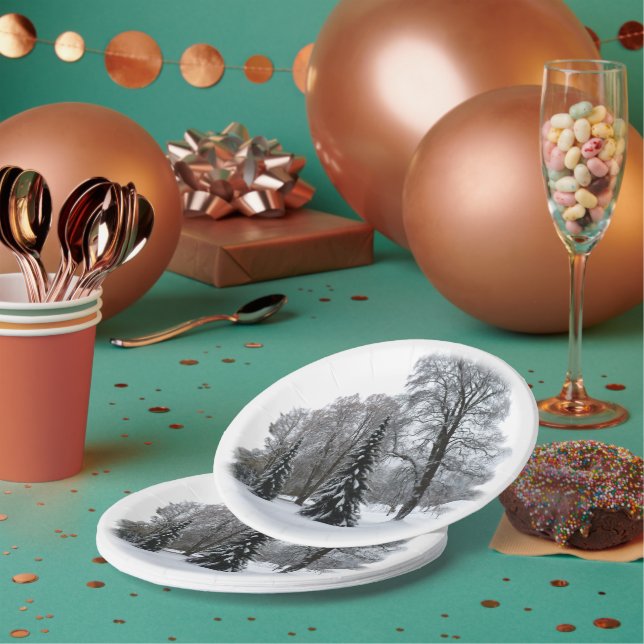 Assiettes En Carton Plaques de papier de vacances Plaques de Wonderlan (Multi)