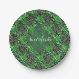 Assiettes En Carton Plaques de papier Motif en treillis vert Succulent