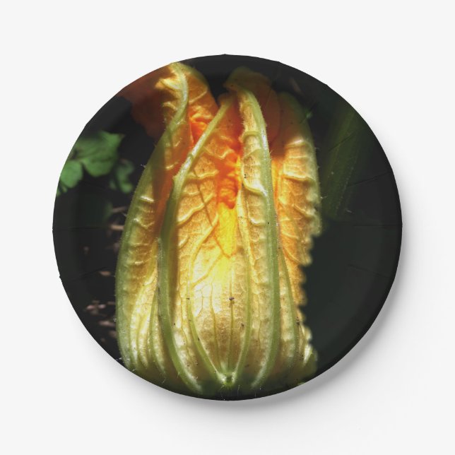 Assiettes En Carton Plaques de papier personnalisées en Citrouille, Ru (Devant)