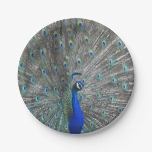 ASSIETTES EN CARTON PLAQUES DE PAPIER PHOTOGRAPHIQUE PEACOCK
