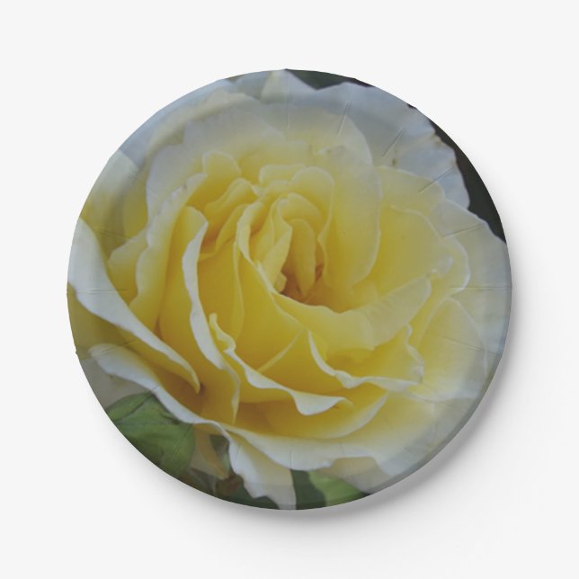 Assiettes En Carton Plaques de papier rose blanc (Devant)