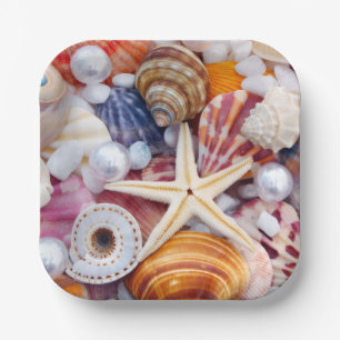 Assiettes En Carton Plaques de papier Seashell