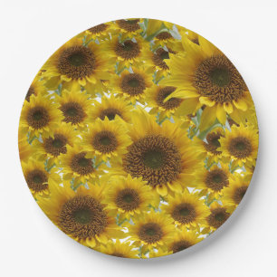 Assiettes En Carton Plaques de papier tournesol