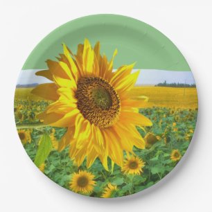 Assiettes En Carton Plaques de papier tournesol