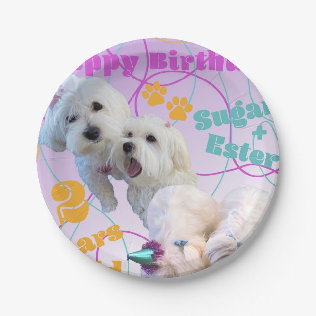 Assiettes En Carton Plaques jumelles maltaises (Devant)