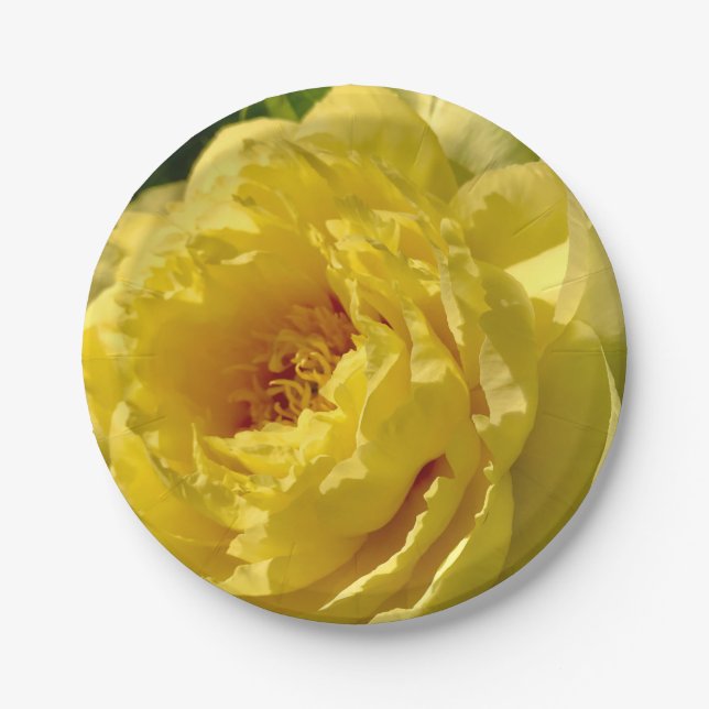 Assiettes En Carton Plaques papier 7 pouces, Double Peony Jaune (Devant)