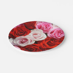Assiettes En Carton Plaques roses