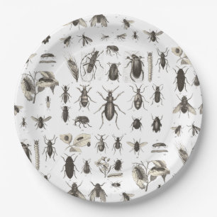 Assiettes En Carton Plats drôles d'anniversaire de enfant d'insecte