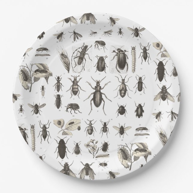 Assiettes En Carton Plats drôles d'anniversaire de enfant d'insecte (Devant)