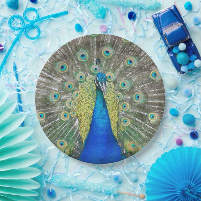 Assiettes En Carton Plumage bleu Peacock (Fête)