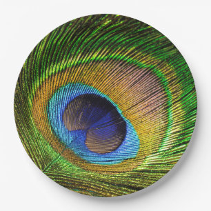Assiettes En Carton Plume vive