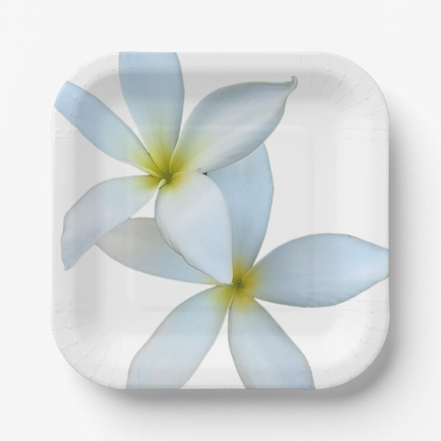 Assiettes En Carton Plumeria blanche Fleur Plaque de papier (Recto)