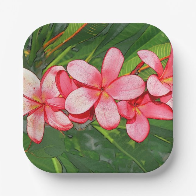 Assiettes En Carton plumérie (Recto)