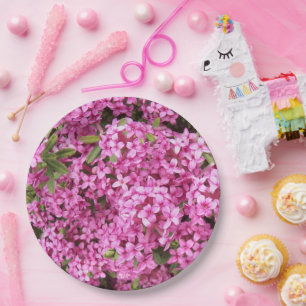 Assiettes En Carton Plutôt rose Daphné Floral