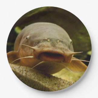 Assiettes En Carton Poisson-chat électrique