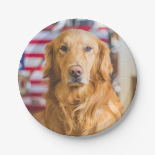 Assiettes En Carton Portrait de chien de golden retriever