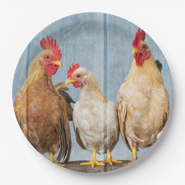 Assiettes En Carton Poules et poulets (Devant)