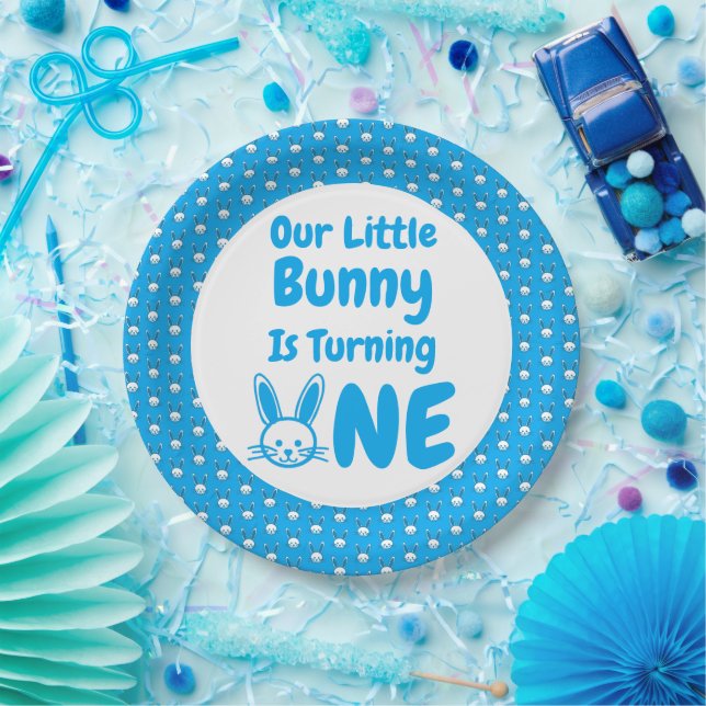 Assiettes En Carton Premier anniversaire de Little Bunny (Fête)