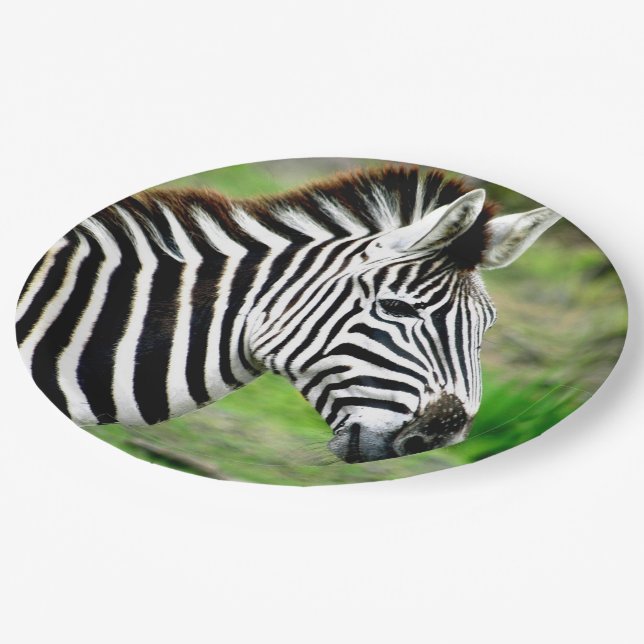 Assiettes En Carton Profil Zebra (Angle)