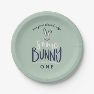 ASSIETTES EN CARTON QUELQUES PLATS DE FÊTE D'ANNIVERSAIRE DE LAPIN