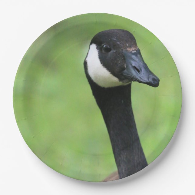 Assiettes En Carton Quoi ? (Devant)