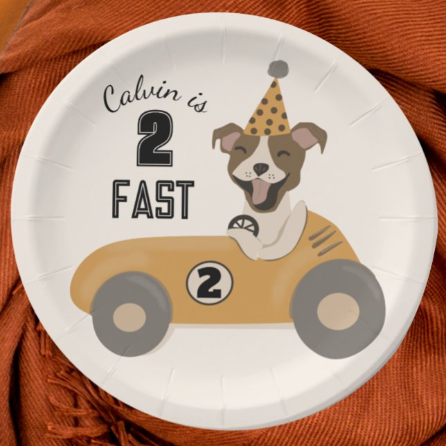 Assiettes En Carton Race Car Chien Boys Deux Fête D'Anniversaire Rapid (Créateur téléchargé)