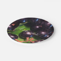 Raisins de vin