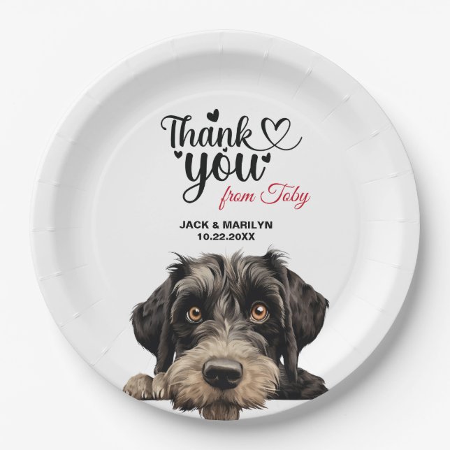 Assiettes En Carton Réception de mariage de chien Schnauzer géant (Devant)